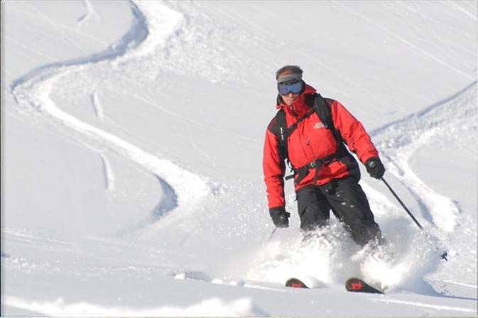 P Dog carving up the freshies